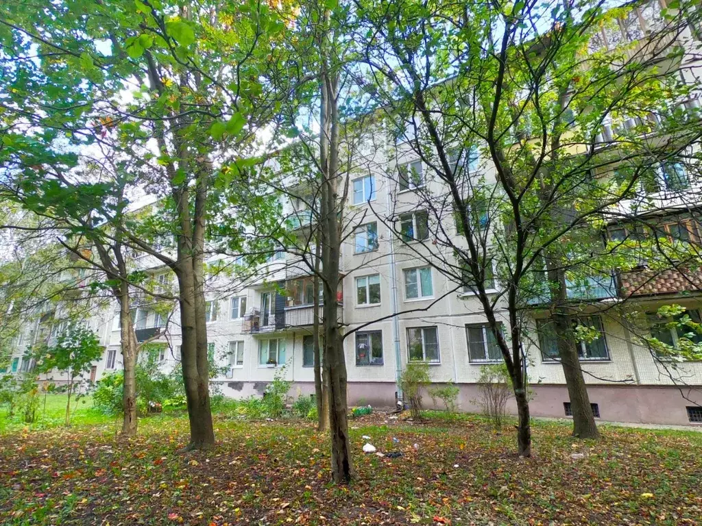 1-к кв. Санкт-Петербург просп. Космонавтов, 84 (31.0 м) - Фото 1