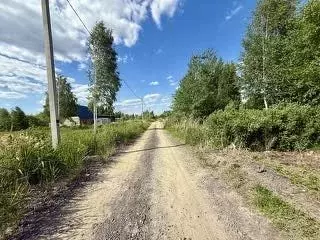 Участок в Тюменская область, Исетский муниципальный округ, с. Денисово ... - Фото 0