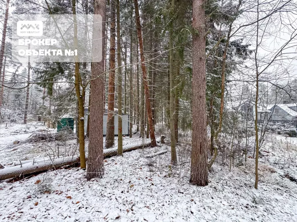 Участок в Зеленогорск, 2-я Лесная улица (6.8 м) - Фото 1