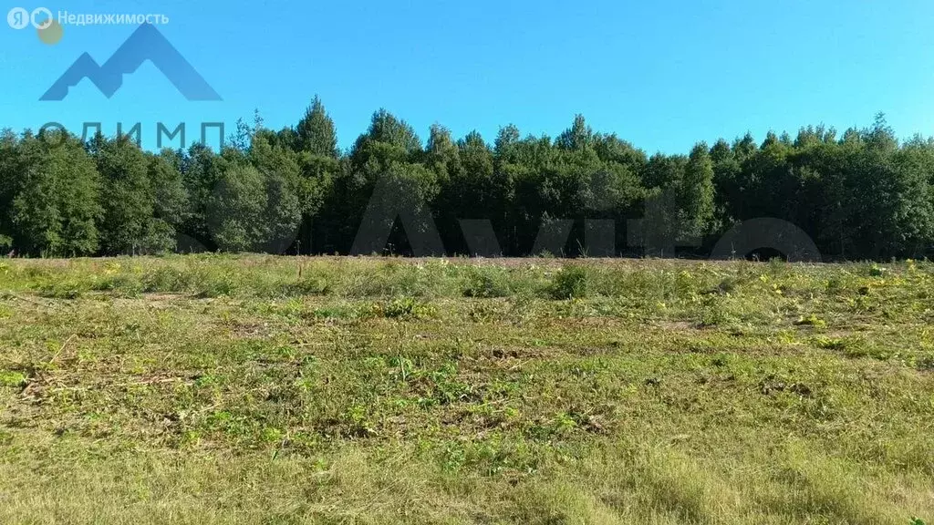 Участок в Вологодский муниципальный округ, посёлок Грибково (15 м) - Фото 0