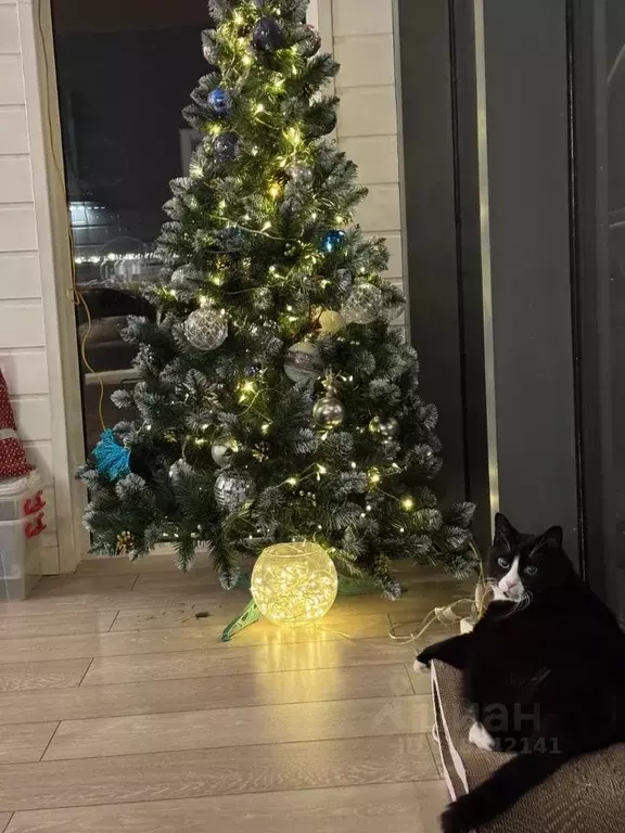 Дом в Московская область, Дмитровский муниципальный округ, Игнатово кп ... - Фото 1