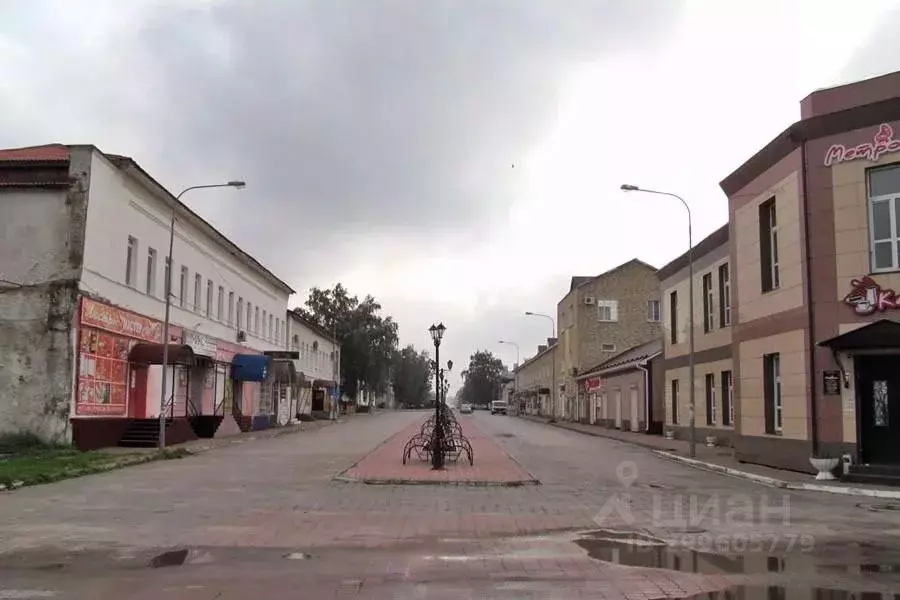 Помещение свободного назначения в Рязанская область, Скопин ул. ... - Фото 1