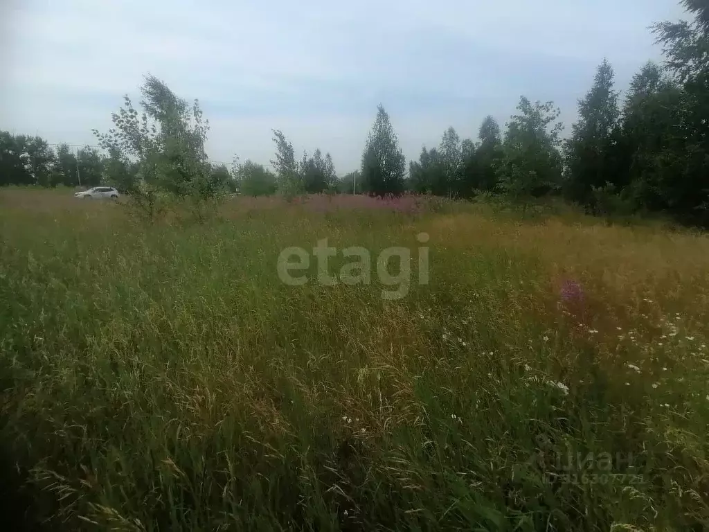 Участок в Омская область, Омский район, с. Усть-Заостровка, Иртышские ... - Фото 0