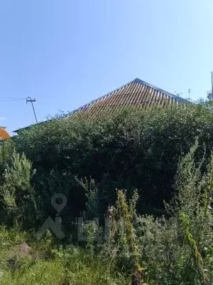 Помещение свободного назначения в Челябинская область, с. Кунашак ул. ... - Фото 0