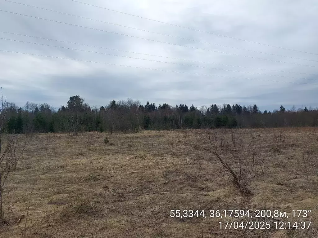 Участок в Московская область, Верея Наро-Фоминский городской округ,  ... - Фото 1