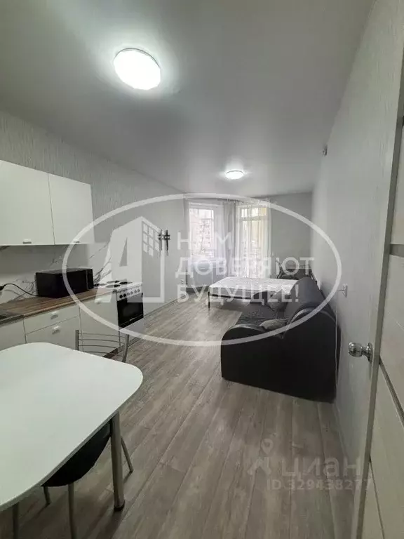 Студия Пермский край, Пермь Коломенская ул., 49А (28.0 м) - Фото 2