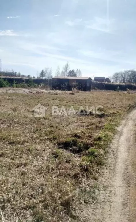 Участок в Новосибирская область, Колыванский район, Авиастроитель СНТ ... - Фото 1