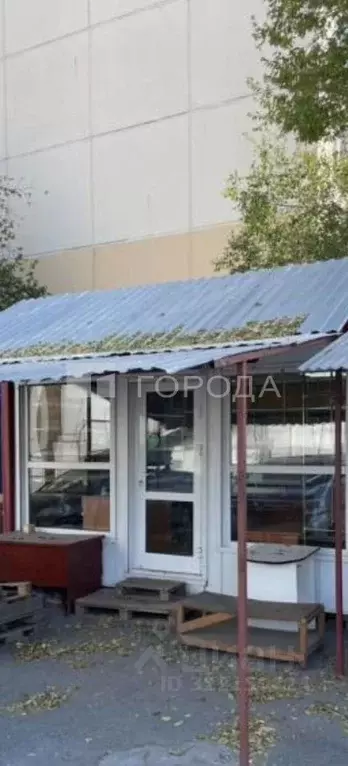 Помещение свободного назначения в Новосибирская область, Новосибирск ... - Фото 1