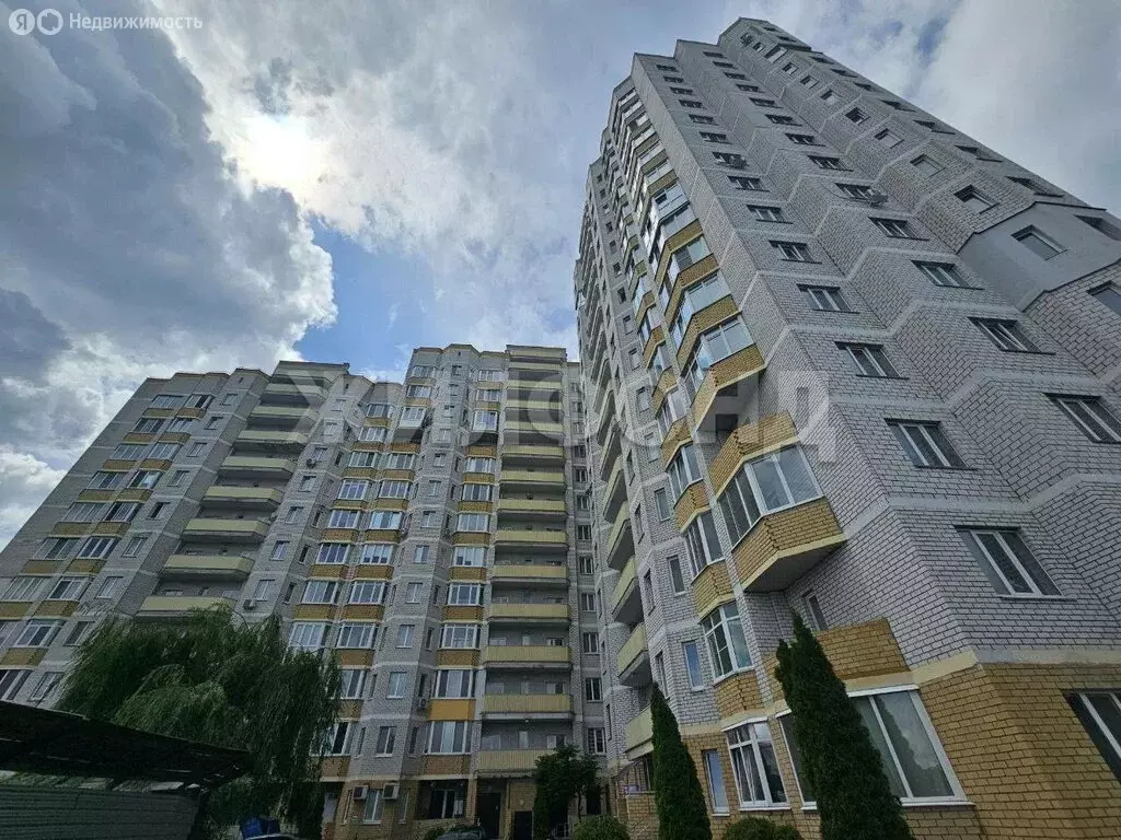 1-комнатная квартира: Брянск, Красноармейская улица, 38 (52.6 м) - Фото 0
