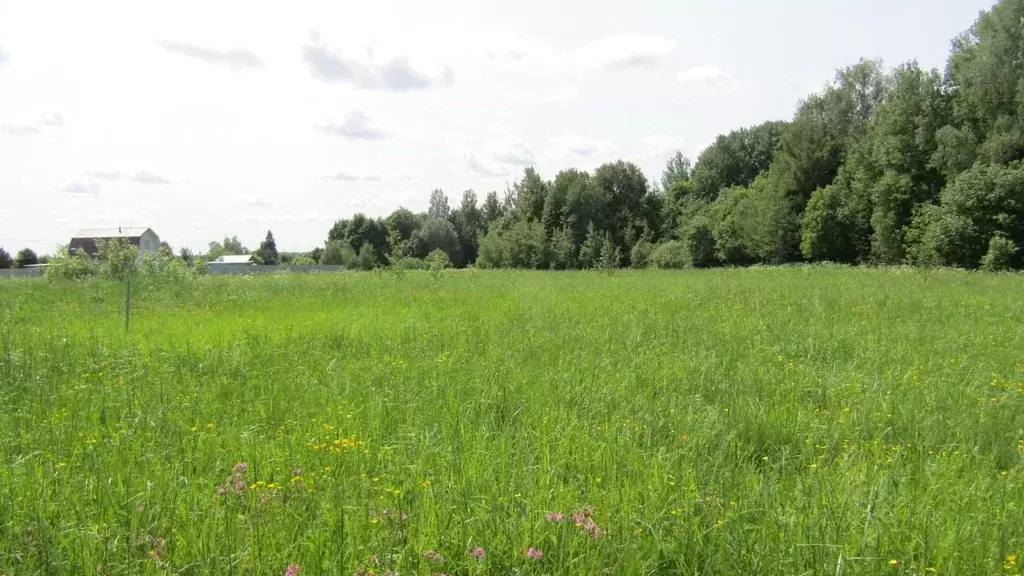 Участок в Московская область, Рузский муниципальный округ, с. ... - Фото 2