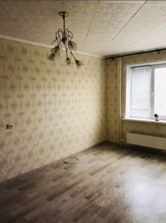 2-к кв. Оренбургская область, Оренбург ул. Чкалова, 9 (28.0 м) - Фото 1