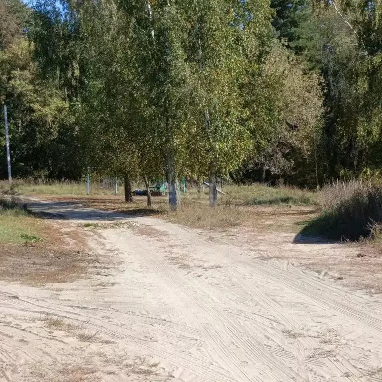 Участок в Нижегородская область, Выкса городской округ, Шиморское рп ... - Фото 0