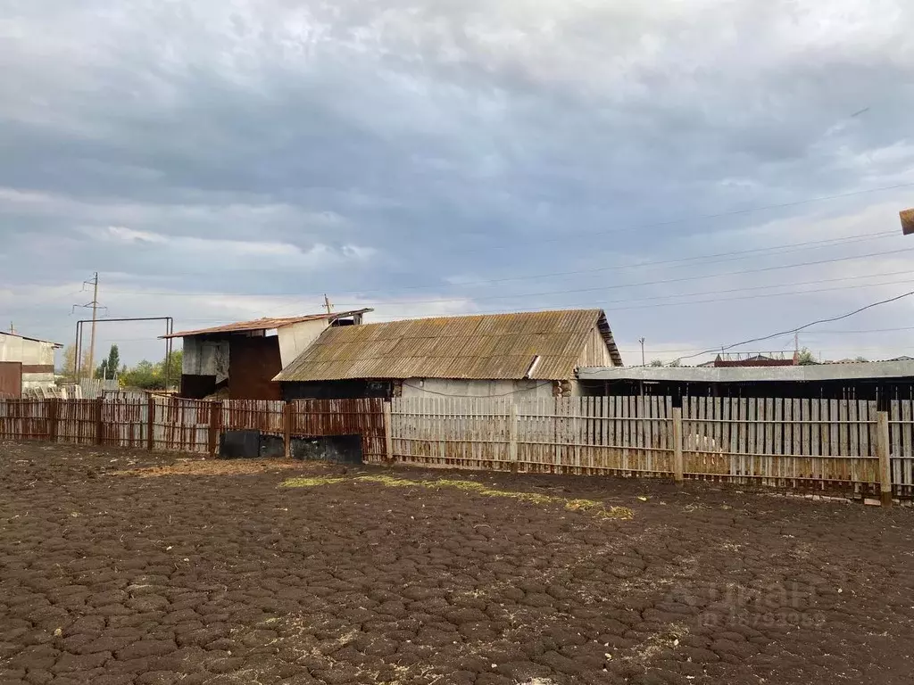 Погода садгород самарская область кинель. Садгород Самарская область. Село Вольная солянка Кинель-Черкасского района. Садгород Самарская область Кинель-Черкасский район фото. Вольная солянка Самарская область история.