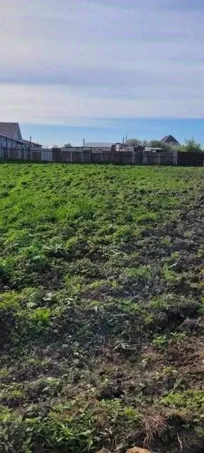 Участок в Челябинская область, Сосновский муниципальный округ, с. ... - Фото 2