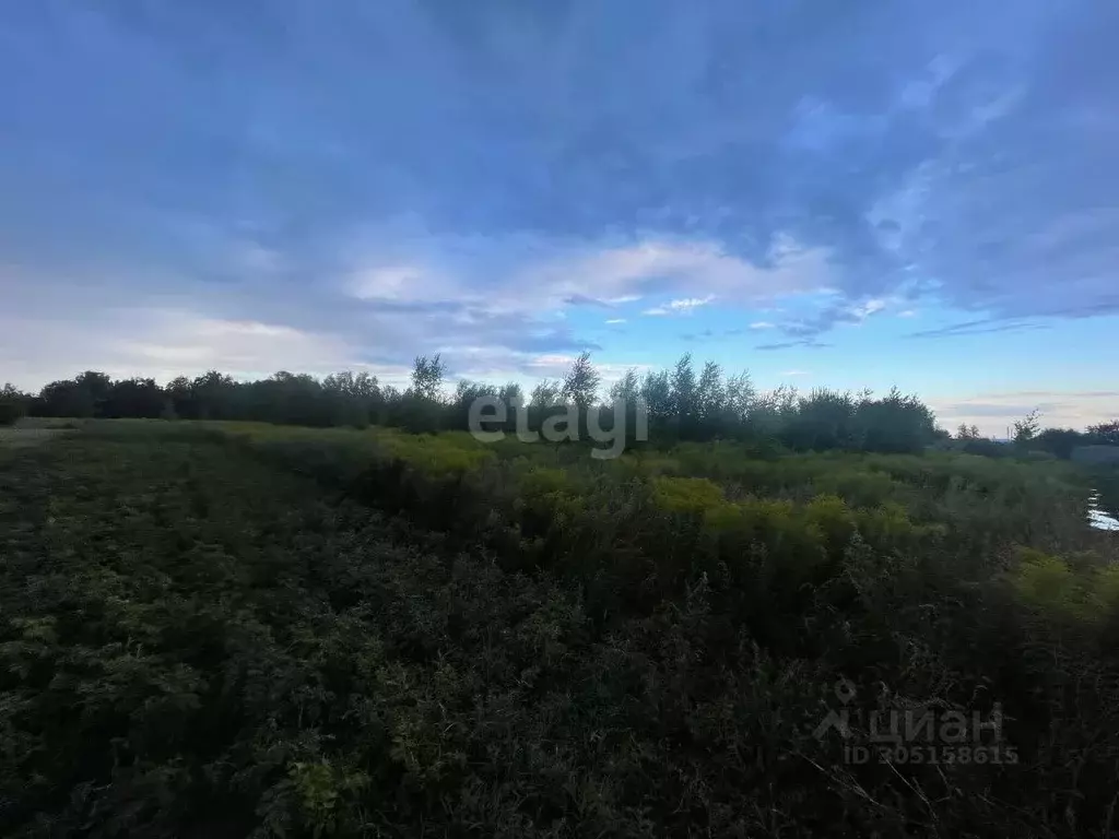 участок в нижегородская область, кстовский муниципальный округ, с. . - Фото 0