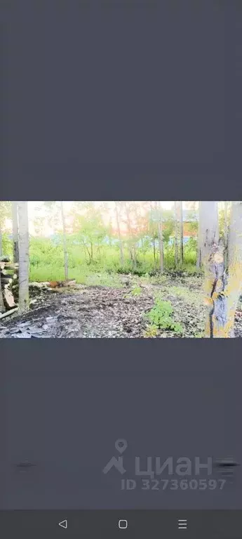 Участок в Мордовия, Лямбирский район, с. Берсеневка  (6.7 сот.) - Фото 2