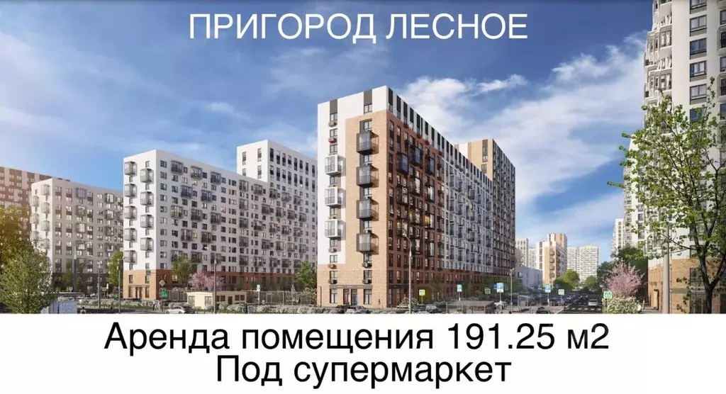 Помещение свободного назначения в Московская область, Ленинский ... - Фото 0