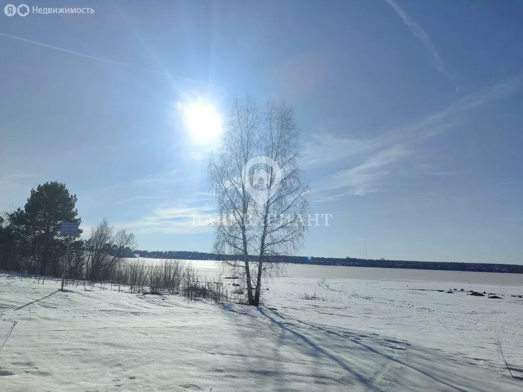 Дом в Ярославская область, Рыбинский муниципальный округ, деревня ... - Фото 2