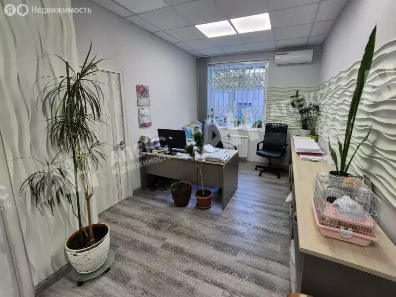 Помещение свободного назначения (1252 м) - Фото 2