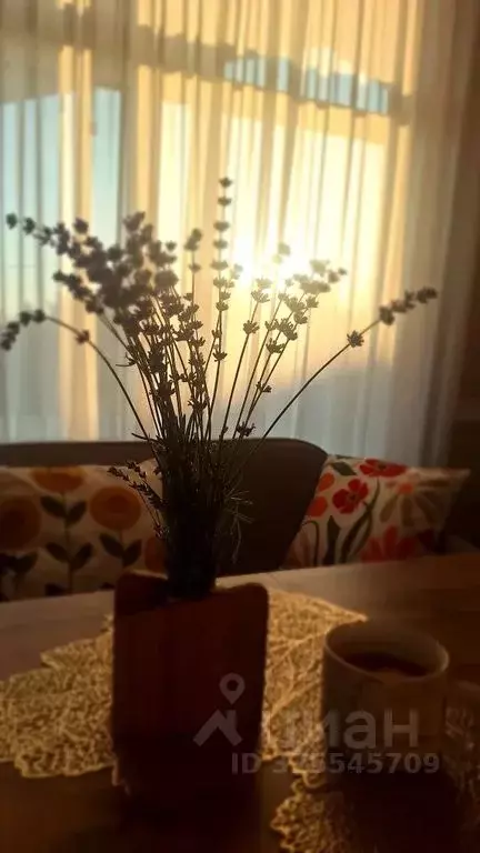 Дом в Самарская область, Самара Нижние Дойки-Электрощит СНТ, ул. 5Б, 3 ... - Фото 2