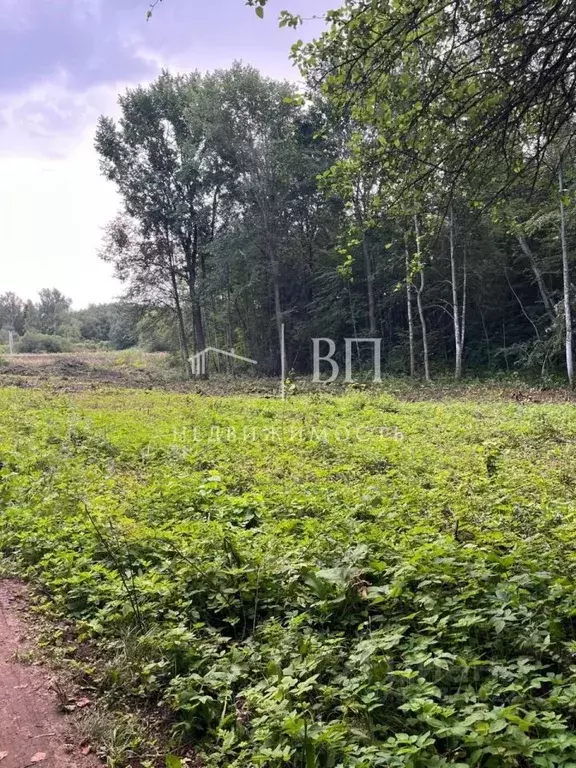 Участок в Ленинградская область, Лужский район, Скребловское с/пос, д. ... - Фото 2