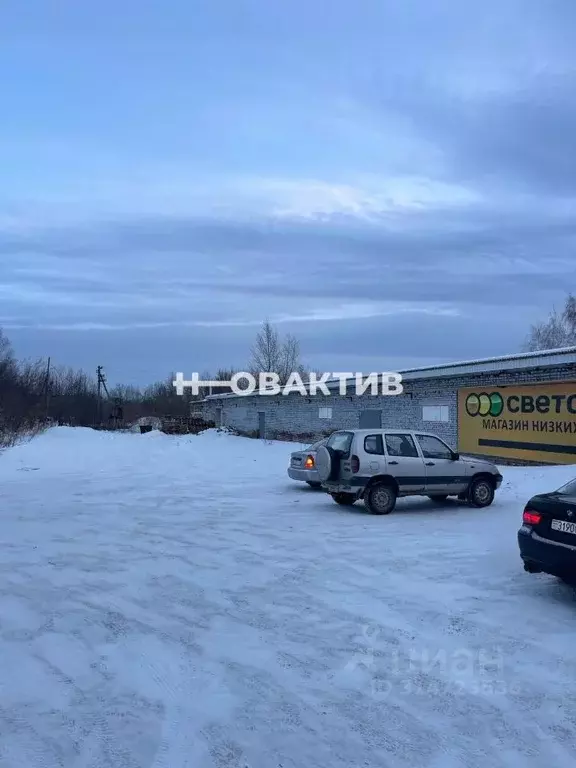 Помещение свободного назначения в Томская область, Шегарское с/пос, с. ... - Фото 1