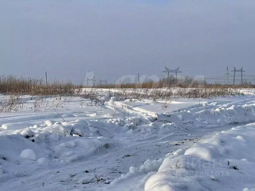 Участок в Тюменская область, Тюменский район, с. Борки  (15.0 сот.) - Фото 1