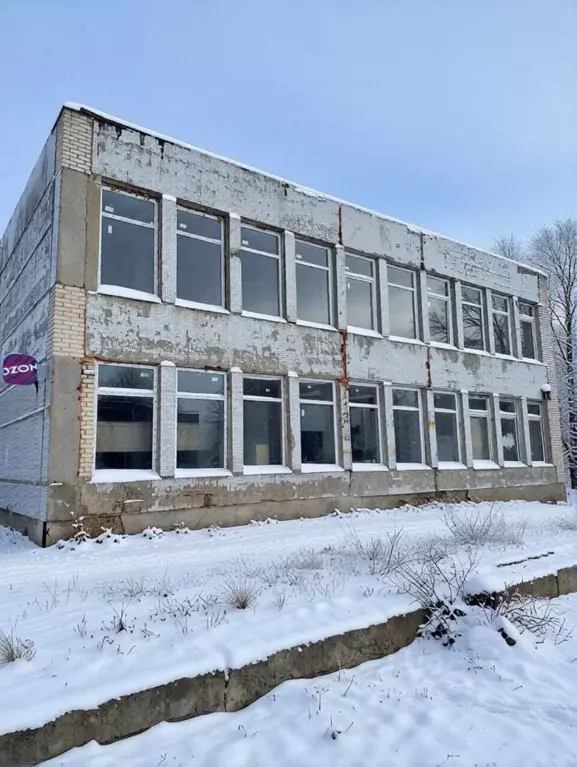 Помещение свободного назначения в Ленинградская область, Волосовский ... - Фото 1