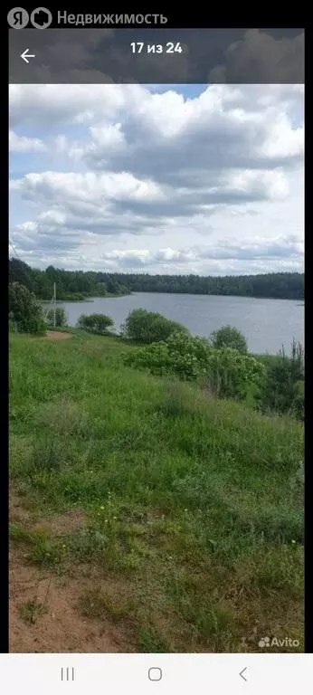 Участок в Тверская область, Андреапольский муниципальный округ, ... - Фото 2