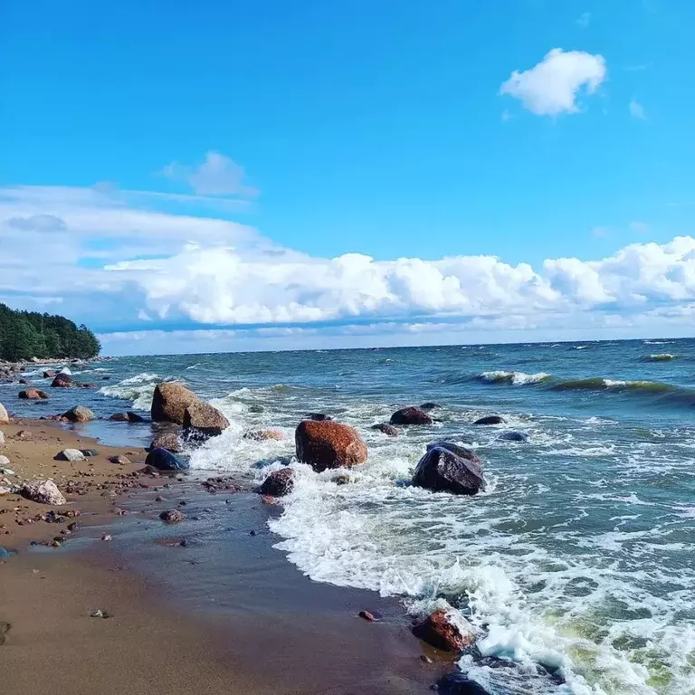 Участок в Ленинградская область, Выборгский район, Полянское с/пос, ... - Фото 0