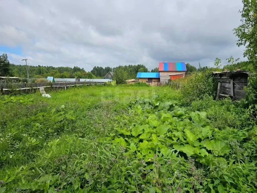 Участок в Новосибирская область, Новосибирск Озерное СНТ, 61 (4.6 ... - Фото 1