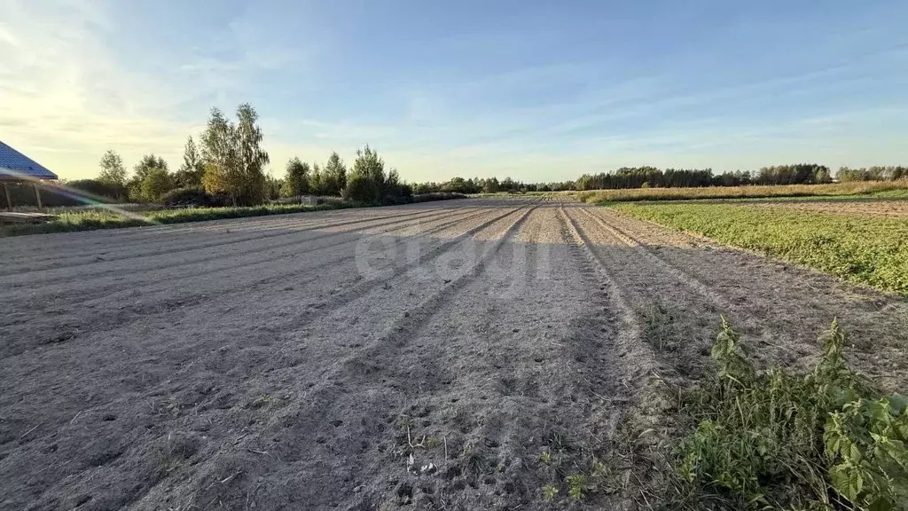 Участок в Костромская область, Красносельский район, Шолоховское ... - Фото 1