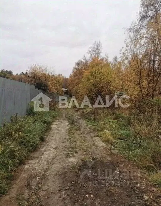 Участок в Иркутская область, Иркутск Союз учителей СТ, 50А (5.4 сот.) - Фото 2