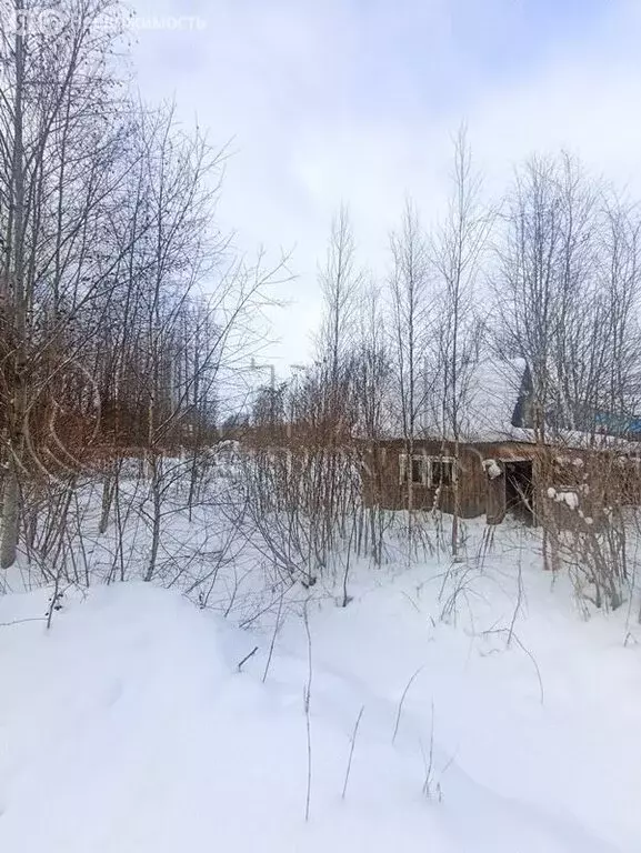 Участок в Выборгский район, Советское городское поселение, посёлок ... - Фото 1