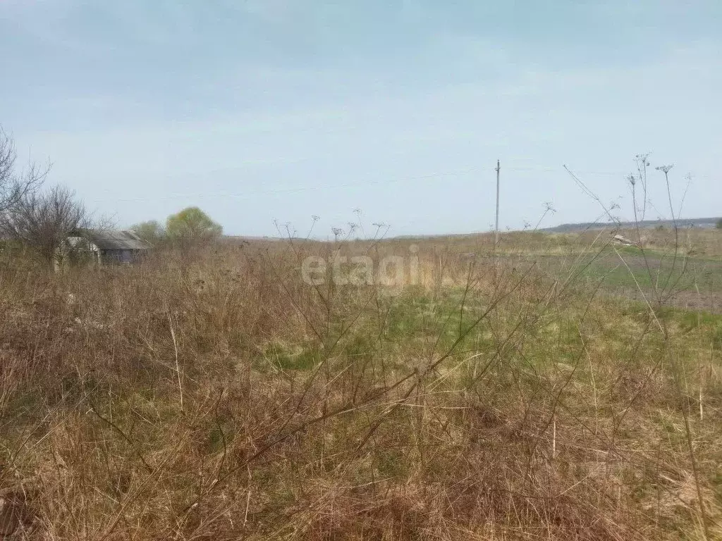 Участок в Белгородская область, Волоконовский район, Пятницкое рп ул. ... - Фото 1