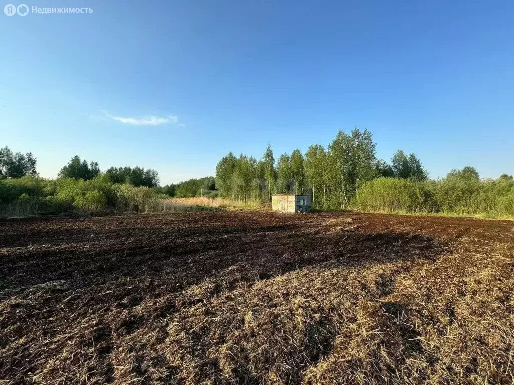 Участок в Тюменская область, Нижнетавдинский муниципальный округ, ... - Фото 2