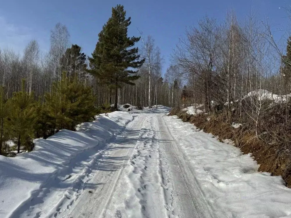 Участок в Иркутская область, Иркутский муниципальный округ, д. ... - Фото 1