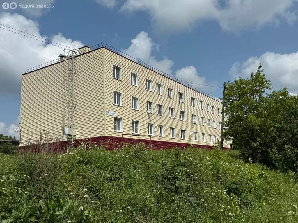 Квартира-студия: Омутнинск, улица Кривцова, 29 (22 м) - Фото 1