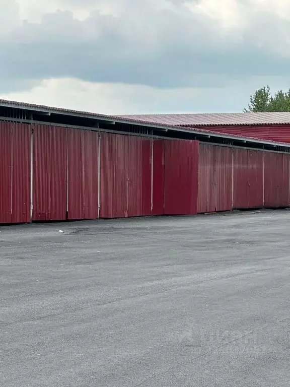 Склад в Свердловская область, Екатеринбург ул. Иргинская, 1 (90 м) - Фото 2