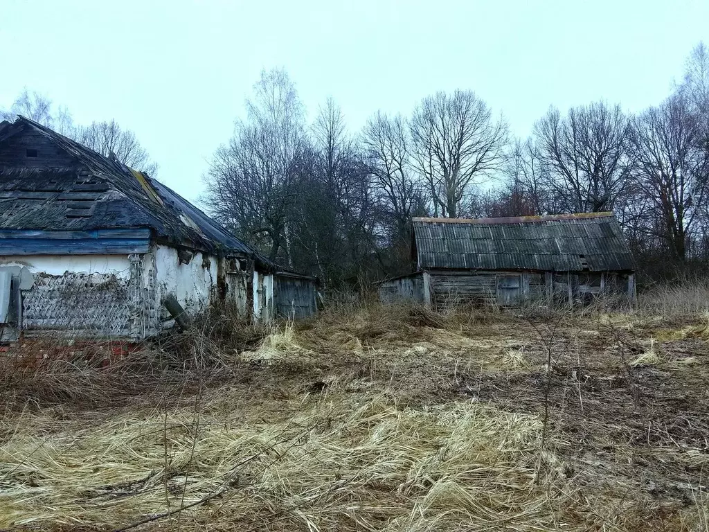 Дом в Калужская область, Перемышльский муниципальный округ, Сильково ... - Фото 2
