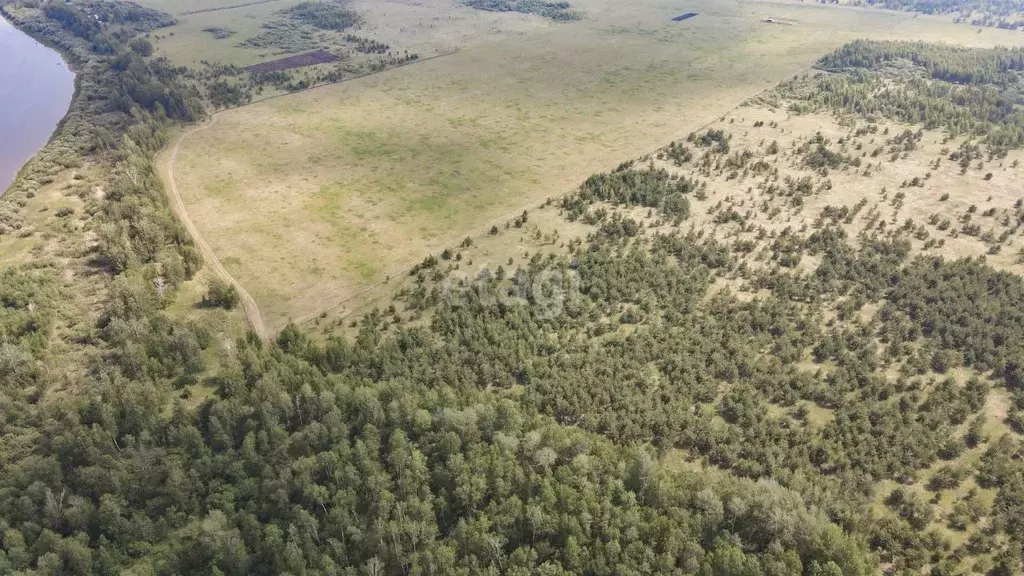 Участок в Тюменская область, Тюменский муниципальный округ, д. Речкина ... - Фото 1