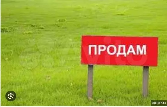 Участок 11 сот. (ИЖС) - Фото 0
