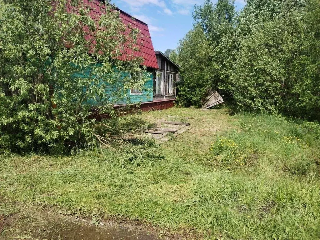 Дом в Ярославская область, Рыбинский муниципальный округ, ... - Фото 1