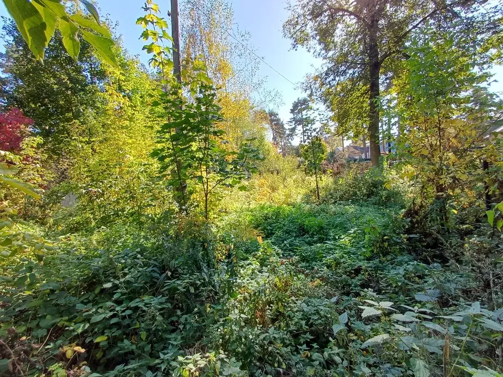 Участок в Московская область, Люберцы городской округ, Малаховка пгт ... - Фото 1