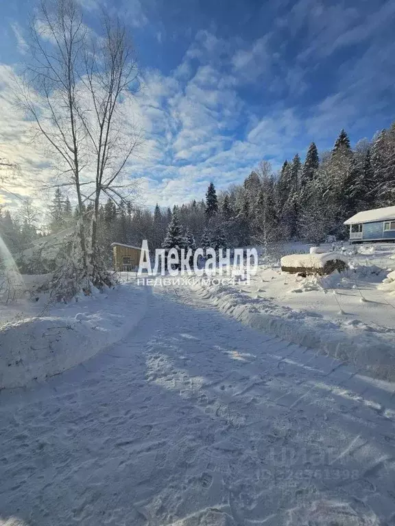 1-к кв. Карелия, Лахденпохья Санаторная ул., 18 (29.0 м) - Фото 1