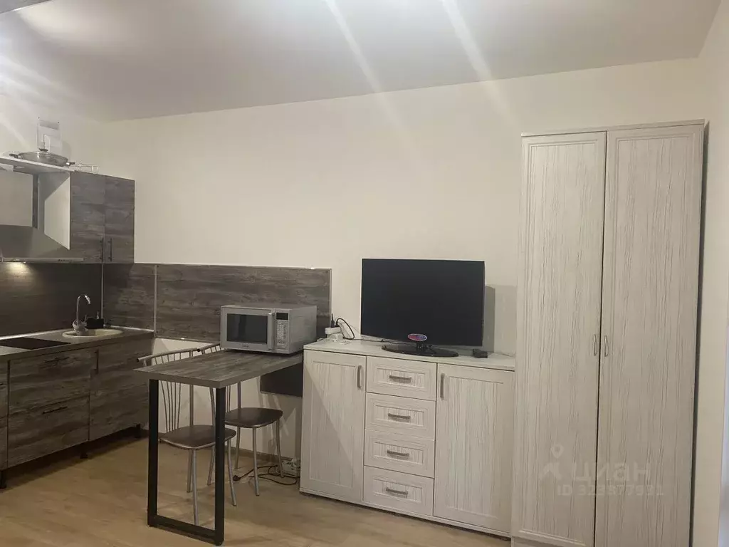 Студия Санкт-Петербург просп. Ветеранов, 173к7 (24.4 м) - Фото 2