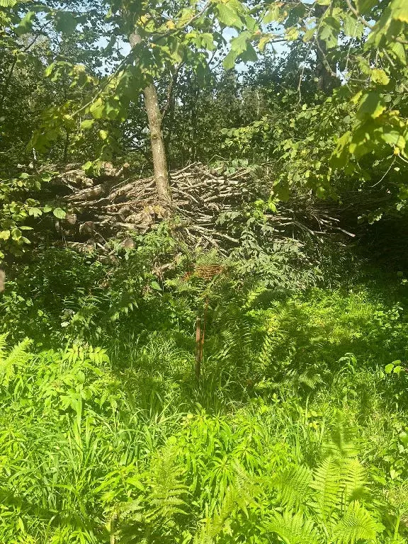 Продается участок в д. Опритово - Фото 1