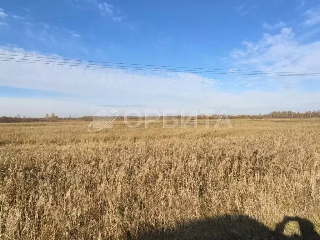 Участок в Тюменская область, Тюменский муниципальный округ, с. Борки  ... - Фото 1