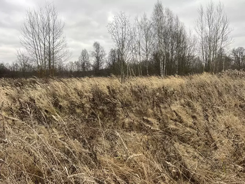Участок в Владимирская область, Александровский муниципальный округ, ... - Фото 2
