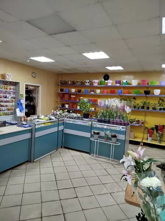 Торговая площадь в Смоленская область, Сафоново Советская ул., 1 (82 ... - Фото 2